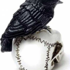 Best reviews of 🤩 ALCHEMY GOTHIC Gothic Homewares Raven Skull | MINIATURE ⌛ -Deals Goth Store alchemy gothic raven skull miniature 3 5d6b8ee5 8004 4ede 893a a24bb07f4ad1 700x700