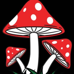 Promo ✔️ BESERK CRYPT Gothic Homewares Mushroom | TAPESTRY BLANKET 😍 -Deals Goth Store beserk crypt mushroom printed tapestry 04 154696ff 0465 419c 9949 b48f87d1e6b3 700x700