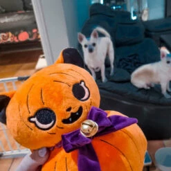Budget 🛒 BESERK CLOTHING Cats Jack-O-Kitty | PUMPKIN PLUSH 😀 -Deals Goth Store beserk jack o kitty pumpkin plush 07 700x700