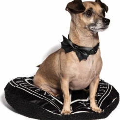 Outlet βοΈ BLACKCRAFT Gothic Homewares Batwing | π DOG COLLAR π 5 Outlet βοΈ BLACKCRAFT Gothic Homewares Batwing | π DOG COLLAR π -Deals Goth Store blackcraft batwing dog collar 2 d7c96bf6 78e1 4bd3 9220 c54093cb8369 700x700