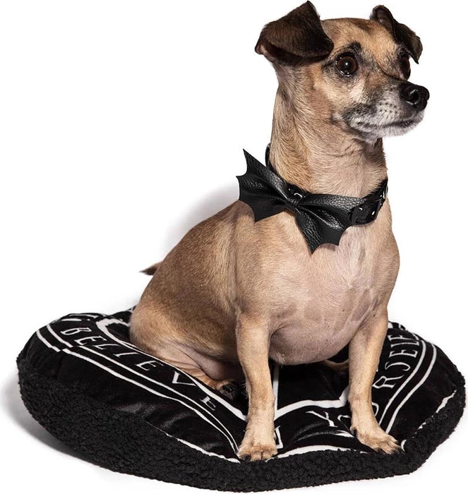 Outlet βοΈ BLACKCRAFT Gothic Homewares Batwing | π DOG COLLAR π 2 Outlet βοΈ BLACKCRAFT Gothic Homewares Batwing | π DOG COLLAR π - Image 2