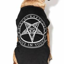 Top 10 😉 BLACKCRAFT Gothic Homewares Believe In Yourself | PET TEE* ❤️