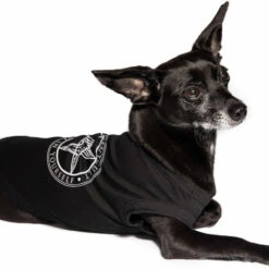 Top 10 😉 BLACKCRAFT Gothic Homewares Believe In Yourself | PET TEE* ❤️ -Deals Goth Store blackcraft believe in yourself pet tee 4 1ea47458 262b 46e4 bddd 9c3f3a6f8151 700x700