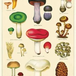 Best Sale 😉 CAVALLINI Gothic Homewares Mushrooms 2 | POSTER/GIFT WRAP ✨