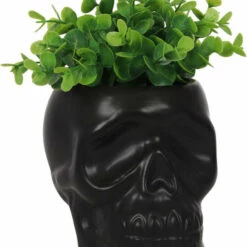Top 10 โค๏ธ GOTHIC GIFTS Gothic Homewares Black Skull | PLANT POT โจ