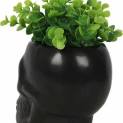 Top 10 ❤️ GOTHIC GIFTS Gothic Homewares Black Skull | PLANT POT ✨ -Deals Goth Store gothic gifts black skull plant pot 2 e4c088d7 9f6c 43ac 8214 6c097b0ec083 700x700