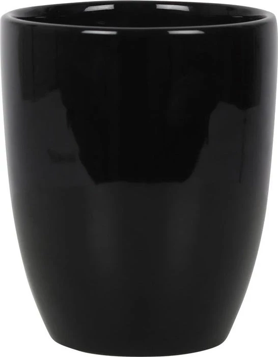 New β GOTHIC GIFTS Gothic Homewares I Will Survive | GOTHIC PLANT POT 𧨠3 New β GOTHIC GIFTS Gothic Homewares I Will Survive | GOTHIC PLANT POT 𧨠- Image 3