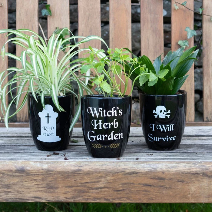 New β GOTHIC GIFTS Gothic Homewares I Will Survive | GOTHIC PLANT POT 𧨠2 New β GOTHIC GIFTS Gothic Homewares I Will Survive | GOTHIC PLANT POT 𧨠- Image 2