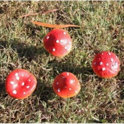 Outlet 🔥 GOTHIC GIFTS Gothic Homewares Mushrooms [SET 4] | GARDEN STAKES ⌛ -Deals Goth Store gothic gifts mushroom garden stake set 5 242979ae 9a32 434c bec9 895ebd7bd218 700x700