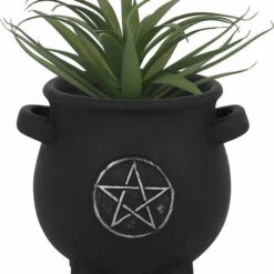 Top 10 👍 GOTHIC GIFTS Gothic Homewares Pentagram | CAULDRON PLANT POT 🌟 8 Top 10 👍 GOTHIC GIFTS Gothic Homewares Pentagram | CAULDRON PLANT POT 🌟 -Deals Goth Store gothic gifts pentagram cauldron terracotta plant pot 2 6ddbb954 0028 4733 96f3 d576e3b16aaf 700x700