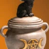 Best deal 🔥 HOMEWARES Cats Black Cat | CAULDRON TRINKET BOX 😀
