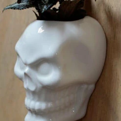 New ๐ฏ HOMEWARES Gothic Homewares Ceramic Skull Garden | WALL PLANTER ๐ฏ