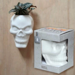 New 💯 HOMEWARES Gothic Homewares Ceramic Skull Garden | WALL PLANTER 💯 -Deals Goth Store homewares ceramic skull garden wall planter 5 ab4a4a75 311a 4a6b 8ce6 e4c51200abba 700x700
