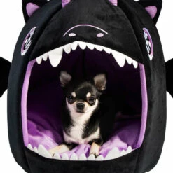 Best reviews of 🌟 KILLSTAR Cats Dragon Baby | PET-CAVE BED" ⭐