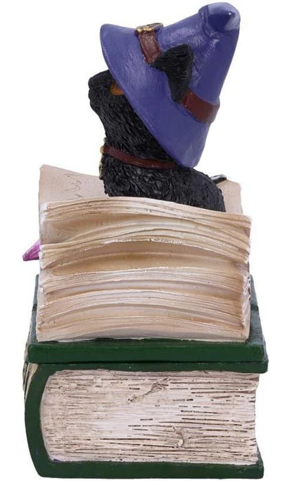 Cheap π NEMESIS NOW Gothic Homewares Binx | TRINKET BOX FIGURINE β€οΈ 4 Cheap π NEMESIS NOW Gothic Homewares Binx | TRINKET BOX FIGURINE β€οΈ - Image 4