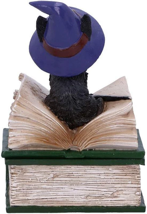 Cheap π NEMESIS NOW Gothic Homewares Binx | TRINKET BOX FIGURINE β€οΈ 5 Cheap π NEMESIS NOW Gothic Homewares Binx | TRINKET BOX FIGURINE β€οΈ - Image 5