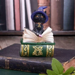 Cheap π NEMESIS NOW Gothic Homewares Binx | TRINKET BOX FIGURINE β€οΈ 13 Cheap π NEMESIS NOW Gothic Homewares Binx | TRINKET BOX FIGURINE β€οΈ -Deals Goth Store nemesis now binx figurine 6 c6be874d 745f 4d4a 87c2 69e37ec5bdad 700x700