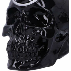 Brand new 👏 NEMESIS NOW Gothic Homewares Black Magic | SKULL 🤩 -Deals Goth Store nemesis now black magic skull 6 bddd02fe e8d6 4900 b4e7 e86e90949003 700x700