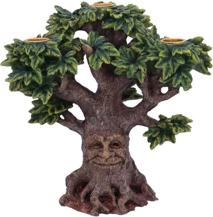 Outlet โค๏ธ NEMESIS NOW Gothic Homewares Forest Flame | CANDLE HOLDER ๐ฏ 2 Outlet โค๏ธ NEMESIS NOW Gothic Homewares Forest Flame | CANDLE HOLDER ๐ฏ - Image 2