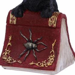 Brand new 🔥 NEMESIS NOW Gothic Homewares Hocus | FIGURINE ⌛ -Deals Goth Store nemesis now hocus figurine 4 c3a5394c 27e2 4199 a103 50c9e45c767a 700x700