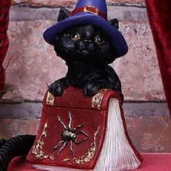 Brand new 🔥 NEMESIS NOW Gothic Homewares Hocus | FIGURINE ⌛