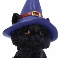 Brand new 🔥 NEMESIS NOW Gothic Homewares Hocus | FIGURINE ⌛ -Deals Goth Store nemesis now hocus figurine 6 9d3a6b94 6eaf 4334 a253 6aaa3b256466 700x700