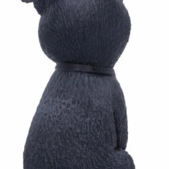 Best Pirce 🎁 NEMESIS NOW Cats Pawzuph | FIGURINE 😀 -Deals Goth Store nemesis now pawzuph figurine 3 de1f3ba4 9bae 4b17 b333 0441eba28913 700x700