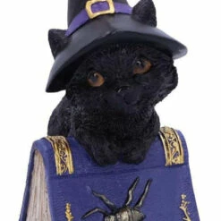 Flash Sale 🌟 NEMESIS NOW Gothic Homewares Pocus | FIGURINE` ⭐ -Deals Goth Store nemesis now pocus figurine 1 a66934bd ce7c 4525 a464 c35b413f9476 700x700