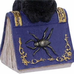 Flash Sale 🌟 NEMESIS NOW Gothic Homewares Pocus | FIGURINE` ⭐ -Deals Goth Store nemesis now pocus figurine 4 5032ef6a 9d18 45c5 b4f2 535c5903b4f6 700x700