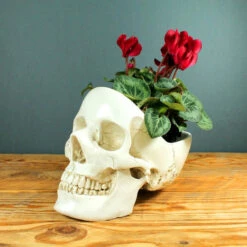 Discount 🎁 SUCK UK Gothic Homewares Skull | BOWL [WHITE] 🌟 -Deals Goth Store skull white tidy 1 700x700