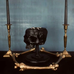 Top 10 😉 THE BLACKENED TEETH Gothic Homewares Skull [Black] | JEWELLERY HOLDER 💯 -Deals Goth Store the blackened teeth skull black jewellery holder 2 511b73b6 0651 4a4f b07a 466ad38d850f 700x700
