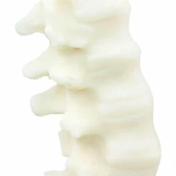 Wholesale 🔥 THE BLACKENED TEETH Gothic Homewares Spine [Ivory] | SCENTED CANDLE 🎁 -Deals Goth Store the blackened teeth spine ivory scented candle 6 f6c5a5e4 bf04 4cf7 aa50 6df4fe9ff10a 700x700