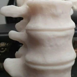 Brand new 🛒 WIXCRAFT CANDLES Gothic Homewares Vertebrae | CANDLE` 👏