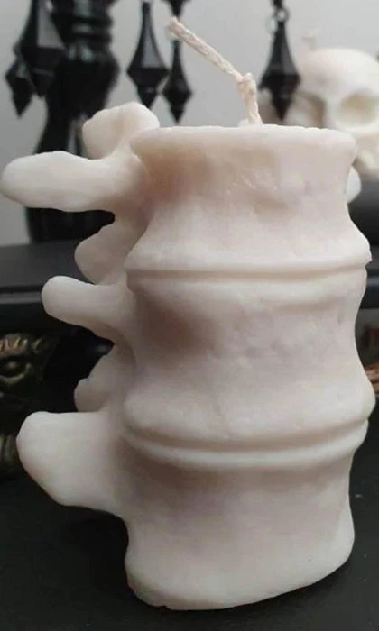 Brand new π WIXCRAFT CANDLES Gothic Homewares Vertebrae | CANDLE` π 1 Brand new π WIXCRAFT CANDLES Gothic Homewares Vertebrae | CANDLE` π