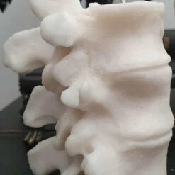 Brand new π WIXCRAFT CANDLES Gothic Homewares Vertebrae | CANDLE` π 8 Brand new π WIXCRAFT CANDLES Gothic Homewares Vertebrae | CANDLE` π -Deals Goth Store wixcraft candles vertebrae candle 2 cef8d104 8c9f 4768 9570 b27f806f70ac 700x700