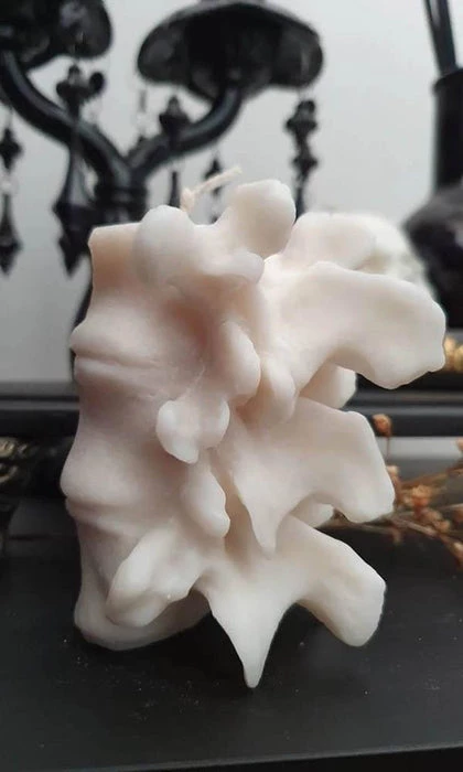 Brand new π WIXCRAFT CANDLES Gothic Homewares Vertebrae | CANDLE` π 5 Brand new π WIXCRAFT CANDLES Gothic Homewares Vertebrae | CANDLE` π - Image 5