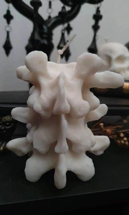 Brand new π WIXCRAFT CANDLES Gothic Homewares Vertebrae | CANDLE` π 2 Brand new π WIXCRAFT CANDLES Gothic Homewares Vertebrae | CANDLE` π - Image 2